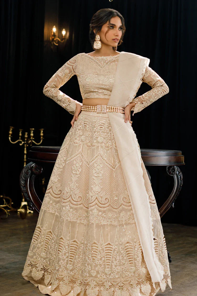 Threads & Motifs - Organza Embroidered Blouse And Skirt Chic Sleeveless Blouse