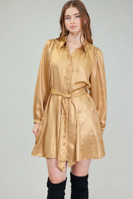 Carmel Metallic Mini Dress Cozy Satin Mini Dress