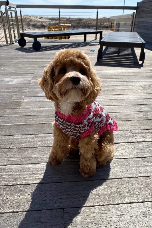 Vibrant Leopard Dog Sweater (Knit) Machine Wash Dry Clean Hand Wash